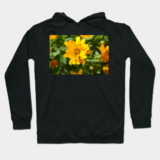 Friends with Yellow Benefits Hoodie by heidiannemorris